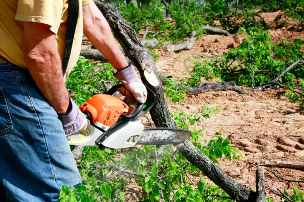 Lawn Drainage Solutions in Marbury, AL